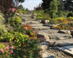 It is a huge area having wetlands; over six kilometers of walking trails, natural areas, and other things that grab the attention of several visitors 